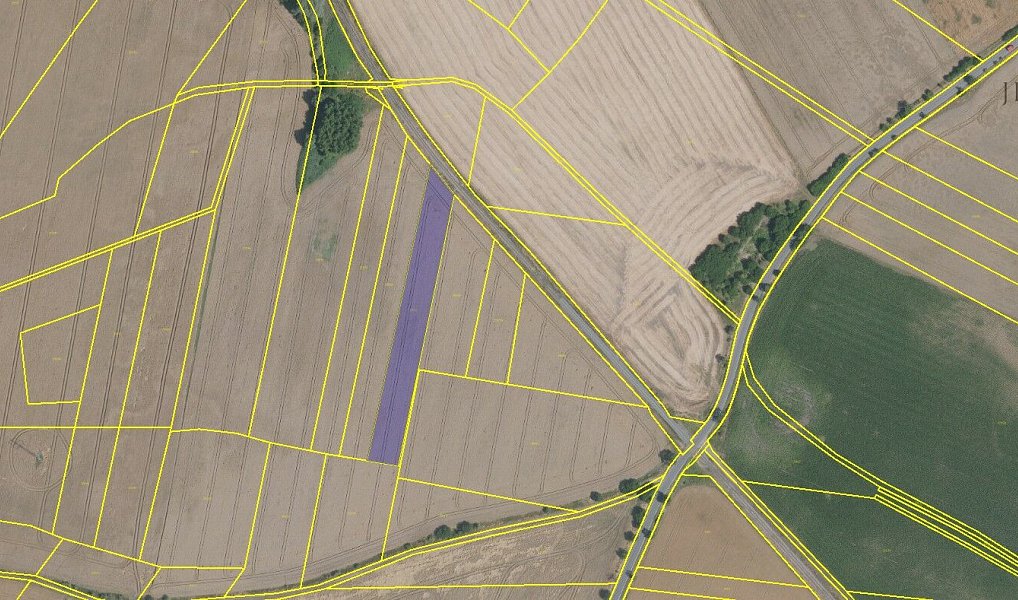 Prodej pole 3 705 m², Jiřice – fotka 1 z 4