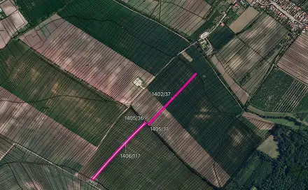 Prodej pole 7 861 m², Starý Poddvorov, okres Hodonín