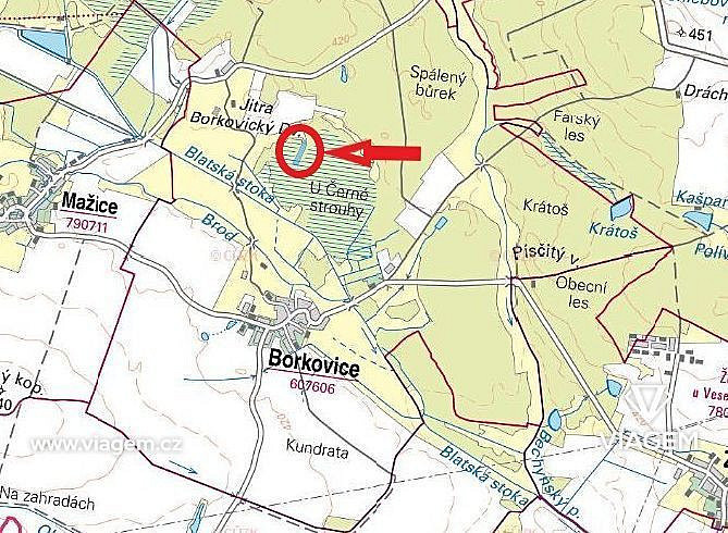Prodej lesa 8 398 m² – pohled 4