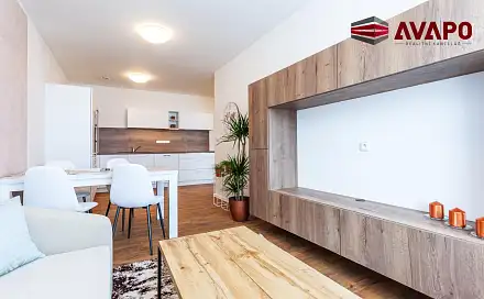 Pronájem bytu 2+kk 56 m², Provaznická, Opava - Předměstí