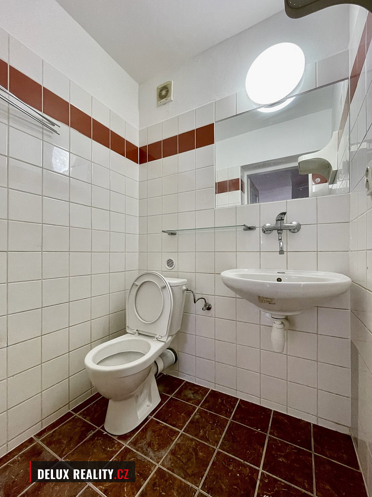 Pronájem bytu 1+kk 32 m² – fotografie 5