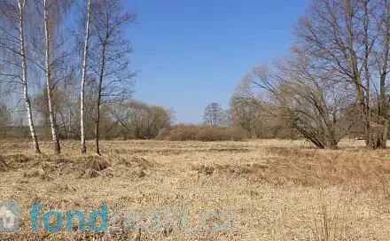 Prodej pozemku 4 593 m², Vesce - Čeraz, okres Tábor