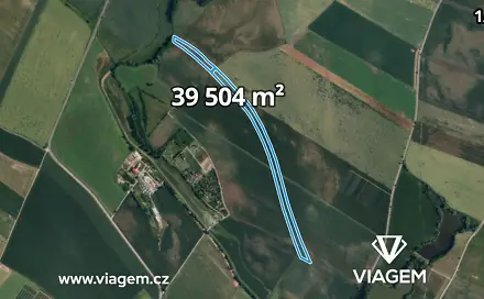 Ostatní