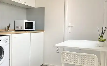 Pronájem bytu 2+1 26 m², Václavská, Brno - Staré Brno