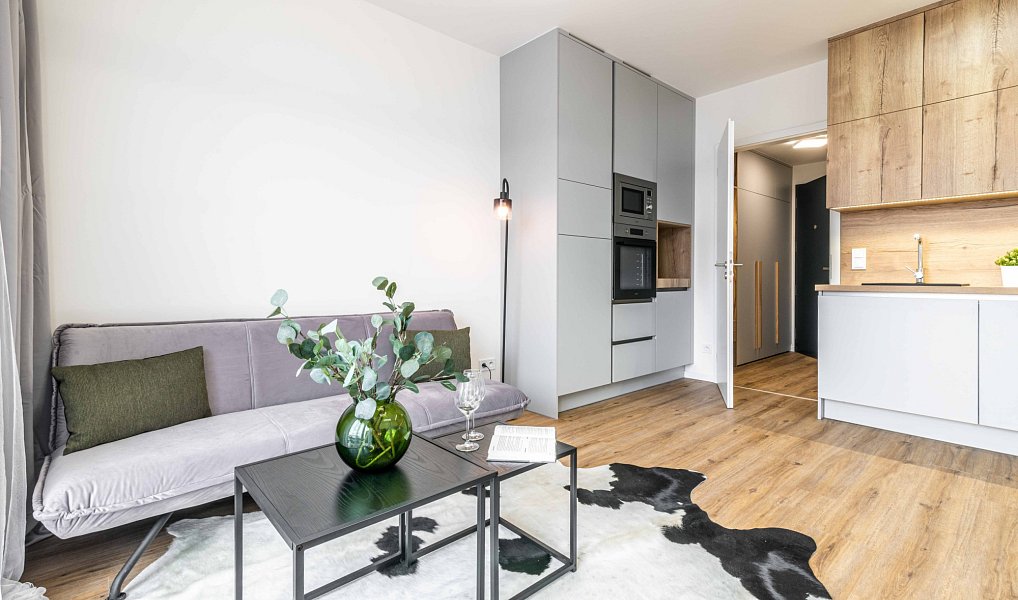 Pronájem bytu 1+kk 27 m², Praha – náhled fotky 4