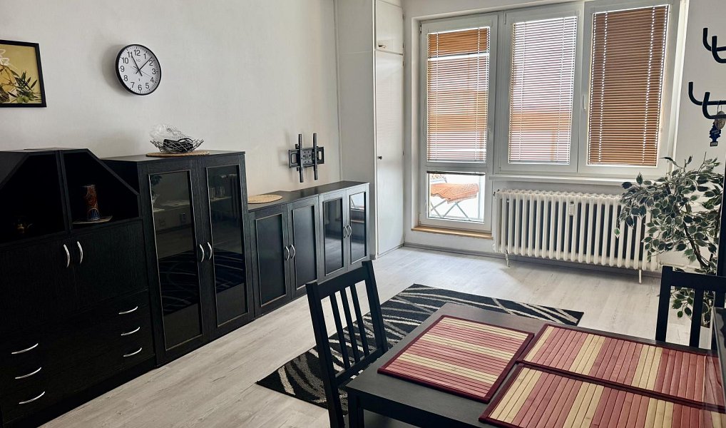 Prodej bytu 1+kk 27 m², Ostrava – náhled fotky 9