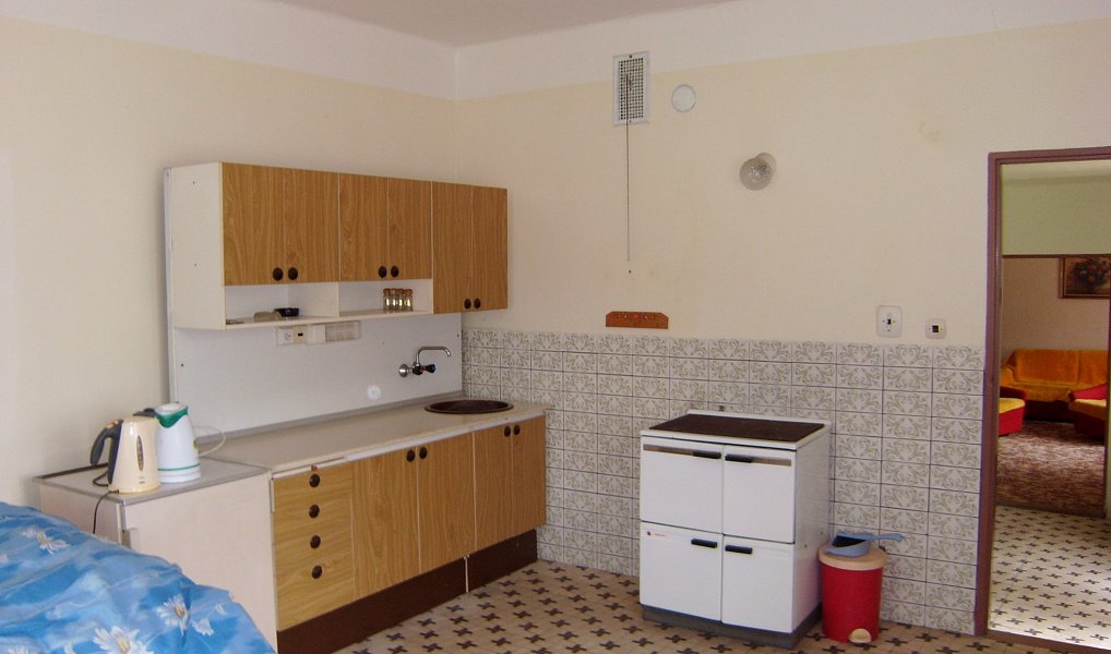 Prodej domu 100 m² s pozemkem 6 962 m², Jenišovice – náhled fotky 3