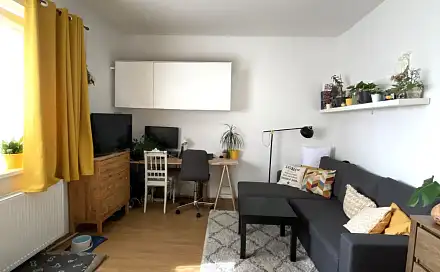 Pronájem bytu 1+1 34 m²