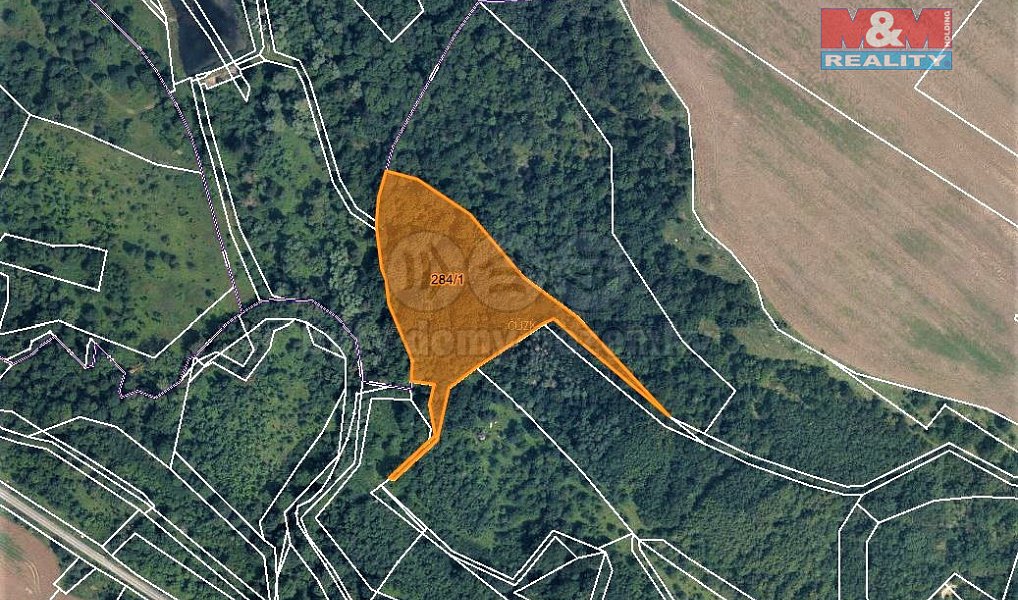 Prodej lesa 10 077 m², Žiželice – náhled fotky 4