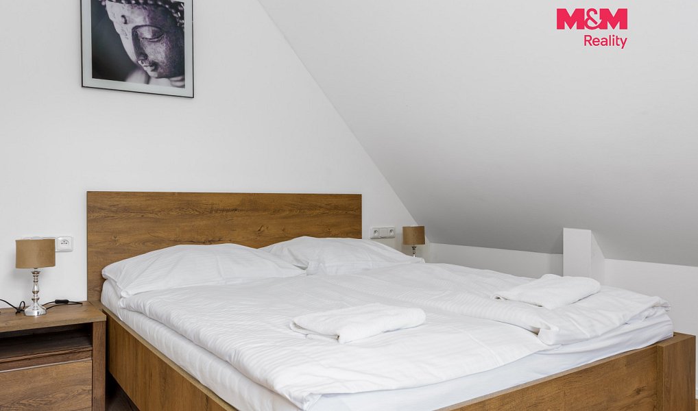 Prodej bytu 1+kk 20 m², Horní Lhota – náhled fotky 5