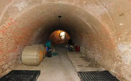 Miroslav, sklep 89 m2 - vinný sklep, Miroslav, okres Znojmo