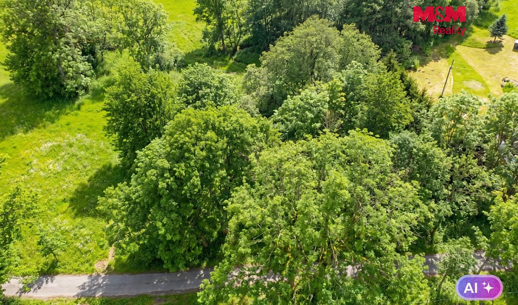 Prodej louky 321 m², Výprachtice – náhled fotky 5