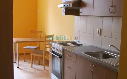 Pronájem bytu 1+kk 41 m², Sudkov, okres Šumperk