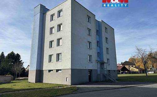 Pronájem bytu 3+1 63 m², Družstevní, Ždírec nad Doubravou, okres Havlíčkův Brod