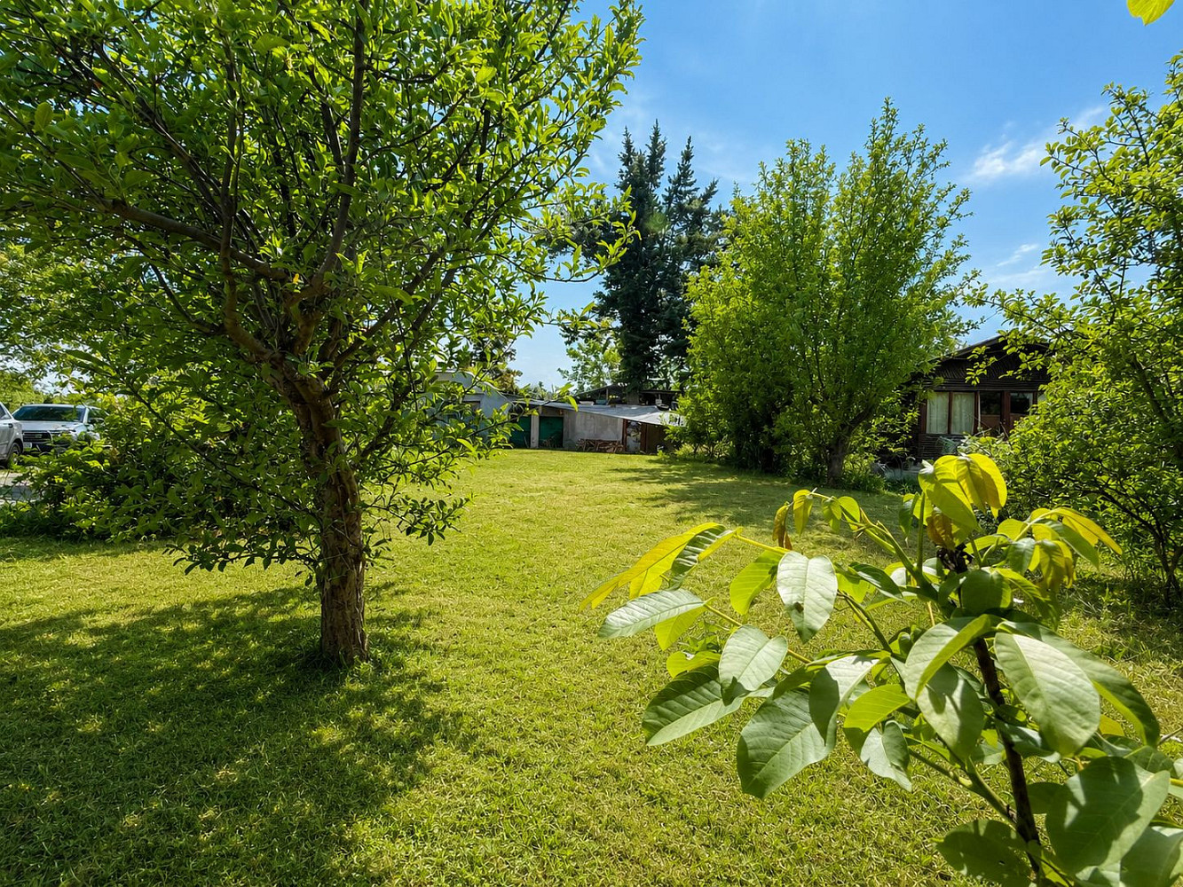 Prodej zahrady 420 m² – fotografie 2