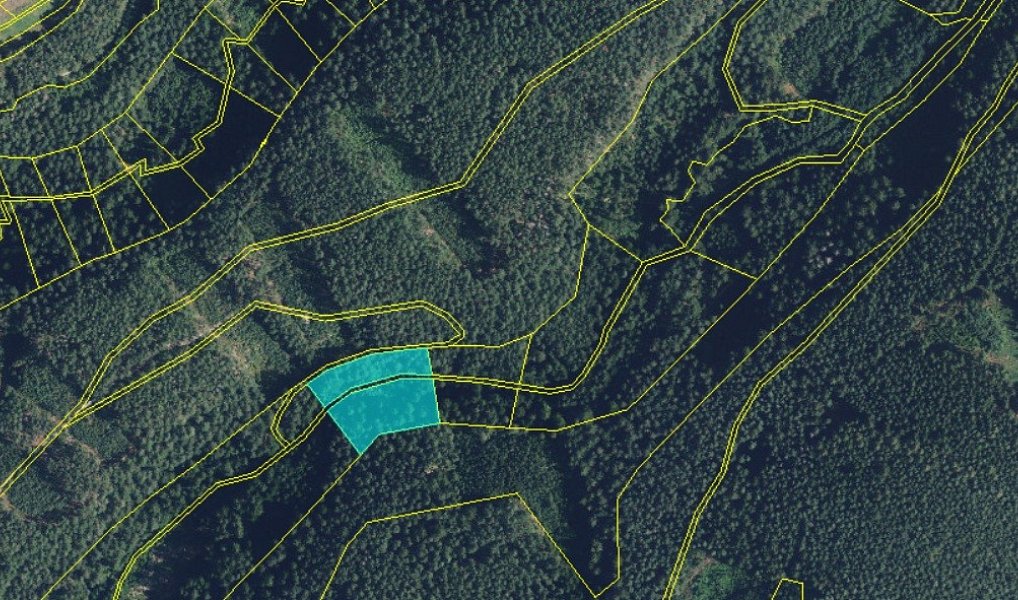 Prodej lesa 5 021 m², Proseč – náhled fotky 3