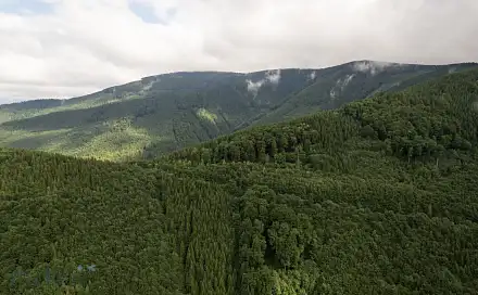 Prodej pozemku 1 378 m², Malá Morava - Vojtíškov, okres Šumperk