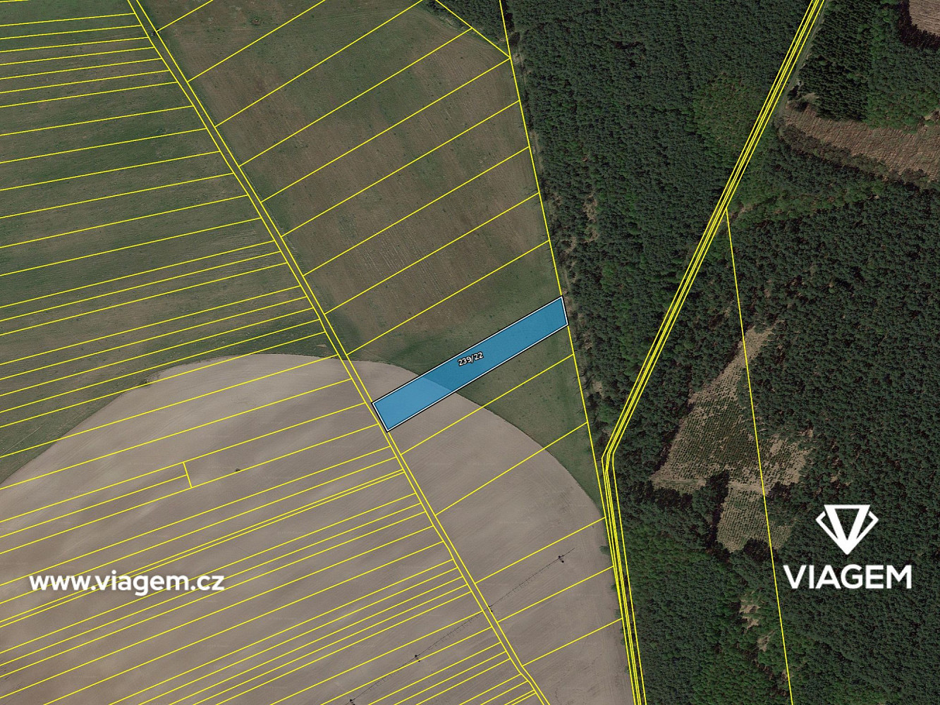 Pole 2 982 m², Podíl 50 % o výměře 1 491 m² – pohled 4