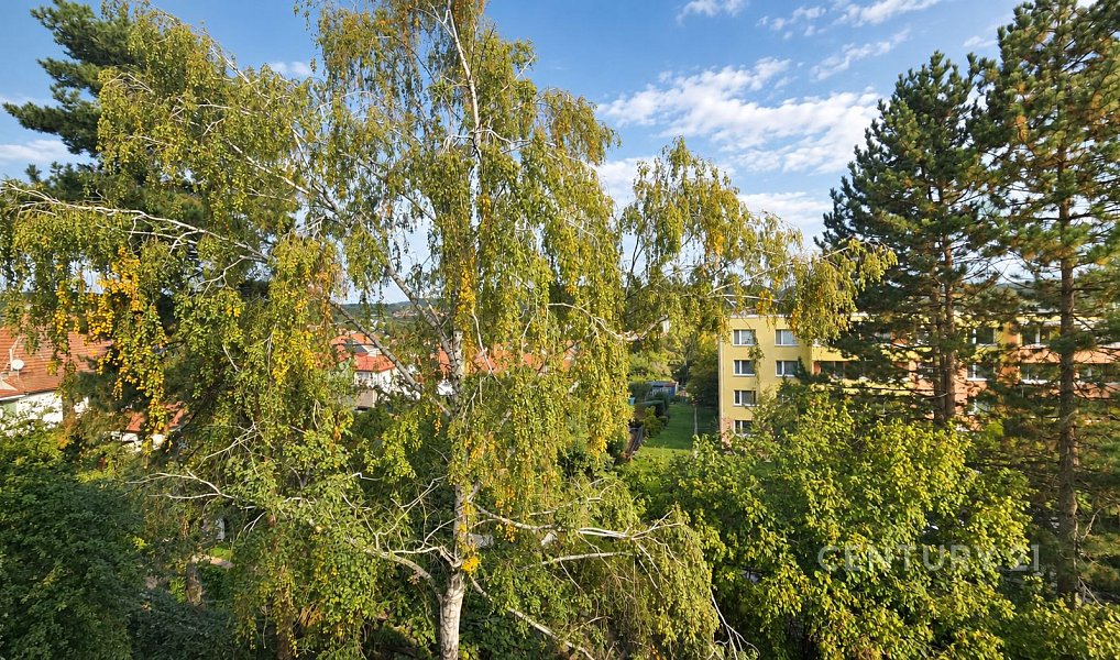 Prodej bytu 2+1 61 m², Brno – náhled fotky 9