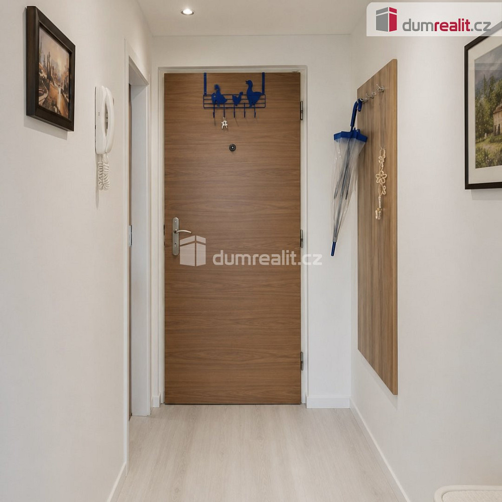 Pronájem bytu 1+1 37 m² — photo 4