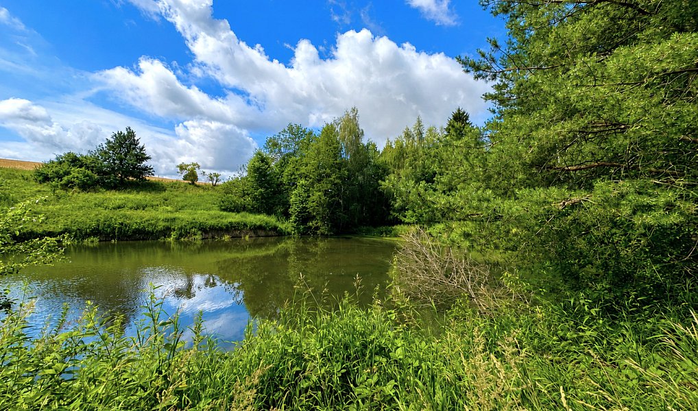 Prodej vodní plochy 25 771 m², Dačice – náhled fotky 15
