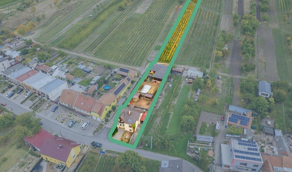 Prodej domu 282 m² s pozemkem 3 202 m², Křepice – náhled fotky 5