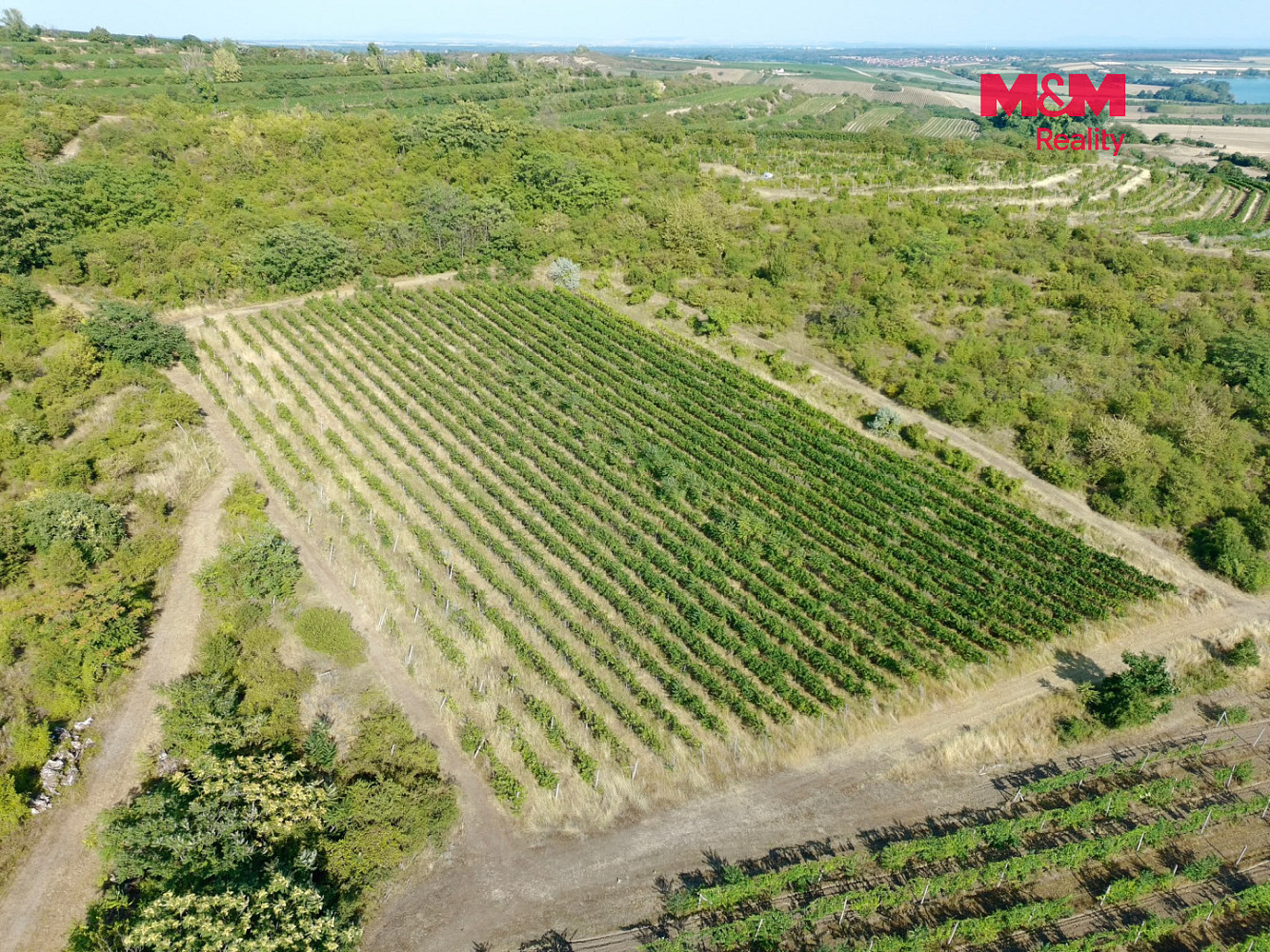 Prodej pole 9 215 m² – fotografie 3