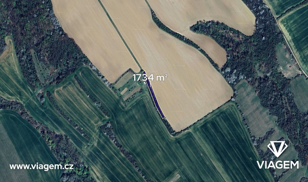Prodej pole 289 m², Traplice – náhled fotky 2