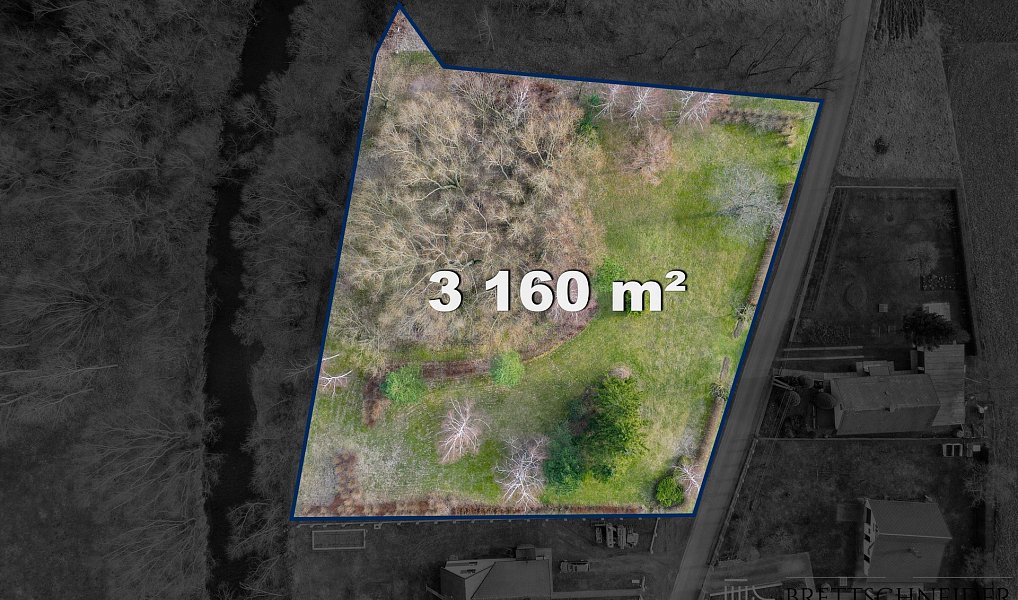 Prodej zahrady 3 160 m², Město Albrechtice – náhled fotky 6