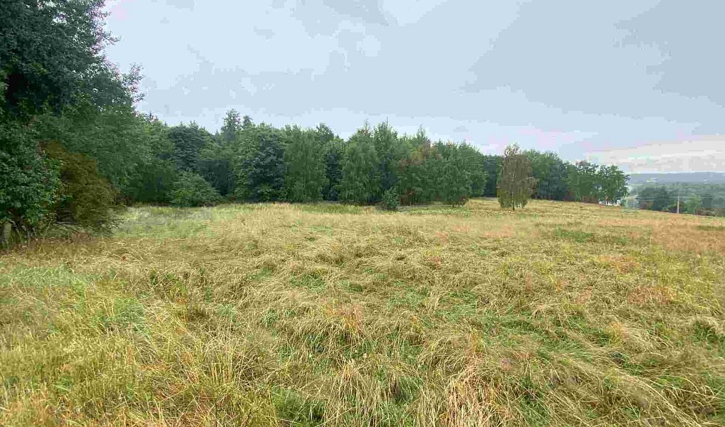 Prodej pole 49 321 m², Nové Sedlo – náhled fotky 3