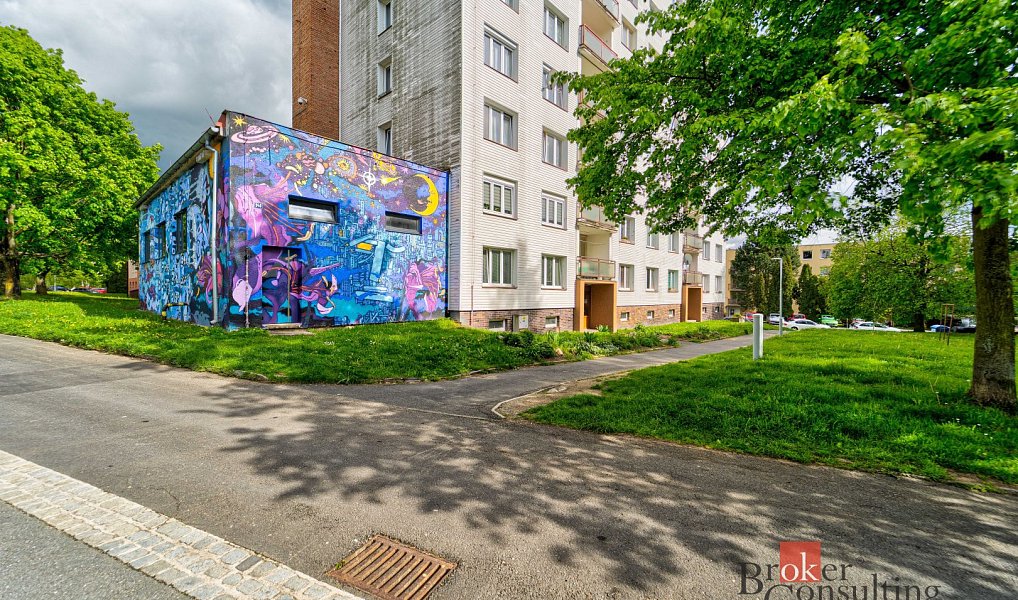 Prodej bytu 2+1 58 m², Planá – náhled fotky 13
