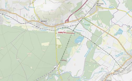 Dražba lesa 4 949 m², Moravský Písek