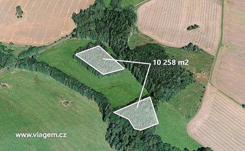 Prodej lesa 2 849 m², Pustá Kamenice, okres Svitavy