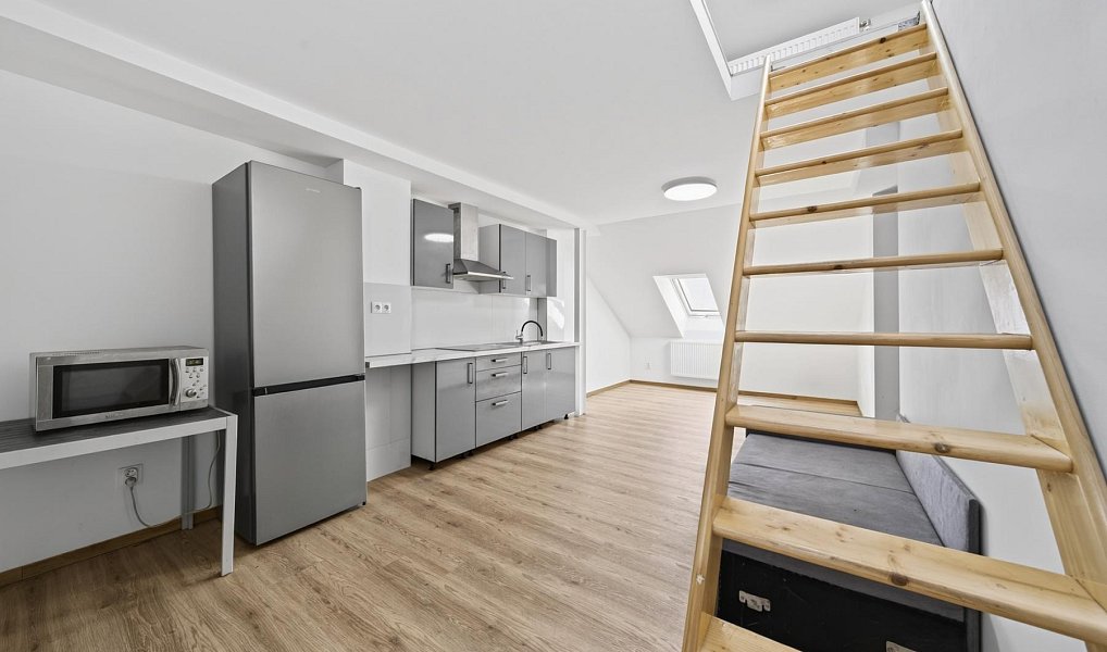 Prodej domu 381 m² s pozemkem 261 m², Plzeň – náhled fotky 22