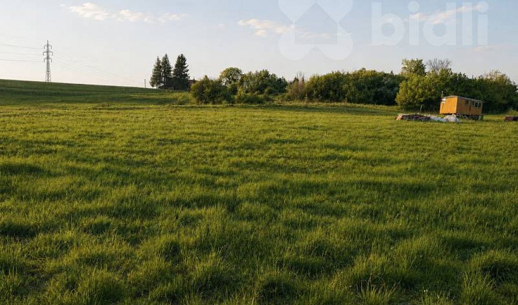 Prodej louky 3 165 m², Mladějov – náhled fotky 2