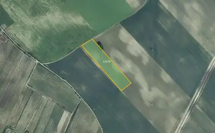 Prodej pole 26 029 m², Mutěnice, okres Hodonín