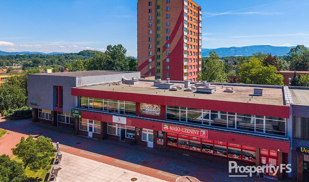 Prodej obchodních prostor 1 500 m², Český Těšín – náhled fotky 21