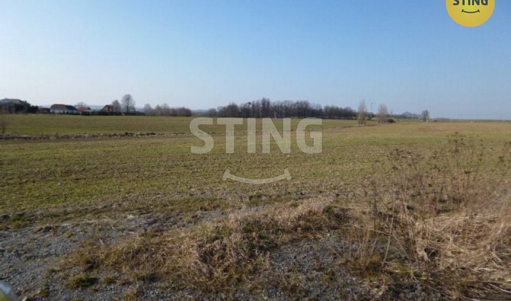 Prodej komerčního pozemku 50 000 m², Bravantice – náhled fotky 3