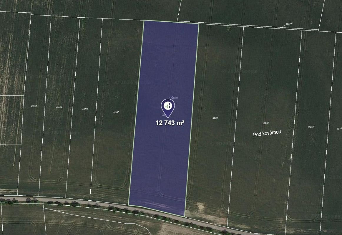 Prodej pole 2 124 m², Horní Slivno