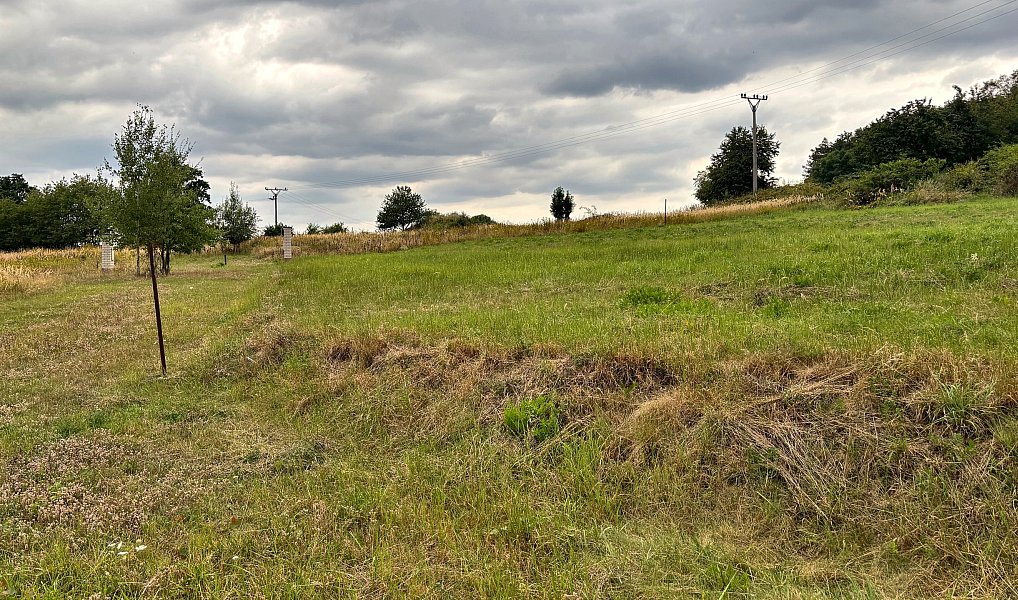 Prodej stavebního pozemku 1 333 m², Neveklov – náhled fotky 5