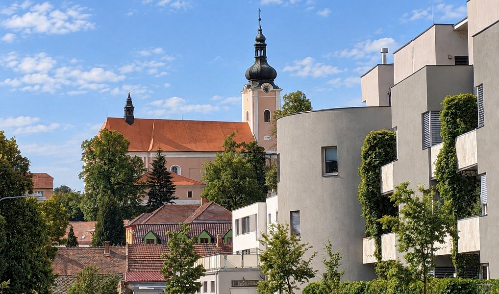 Pronájem obchodních prostor 128 m², Oslavany – náhled fotky 10