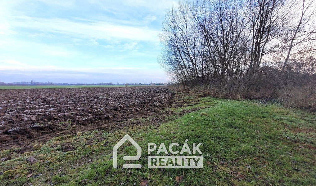 Prodej pozemku 15 995 m², Kožušany-Tážaly – náhled fotky 16