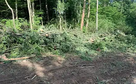 Prodej lesa 7 989 m², Kelč - Komárovice, okres Vsetín
