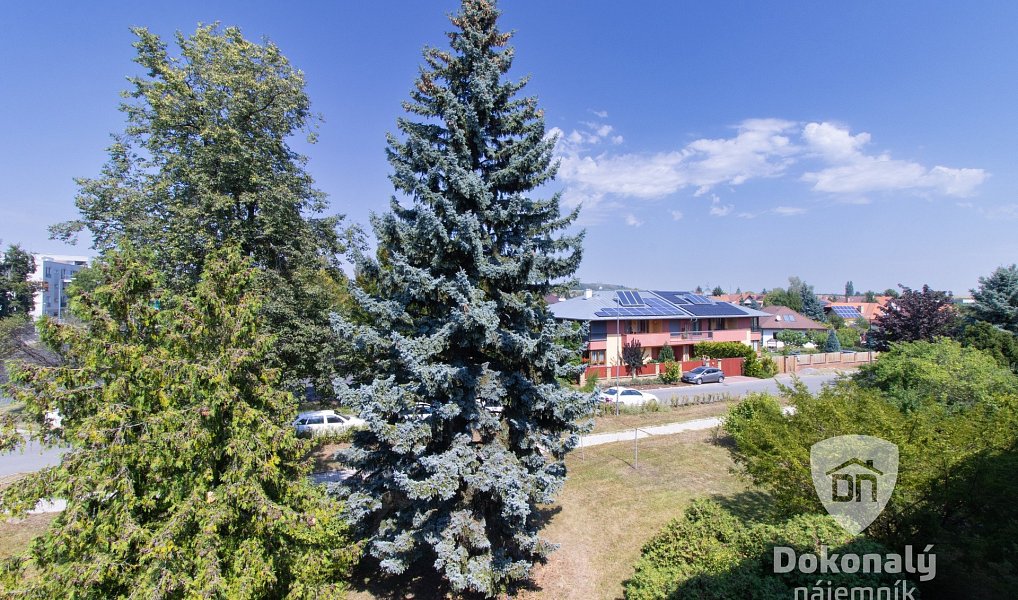 Pronájem bytu 3+1 73 m², Lysá nad Labem – náhled fotky 19
