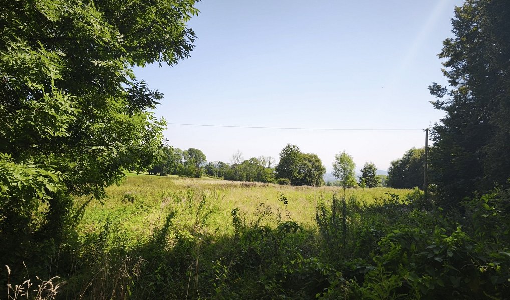 Prodej stavebního pozemku 7 776 m², Varnsdorf – náhled fotky 13