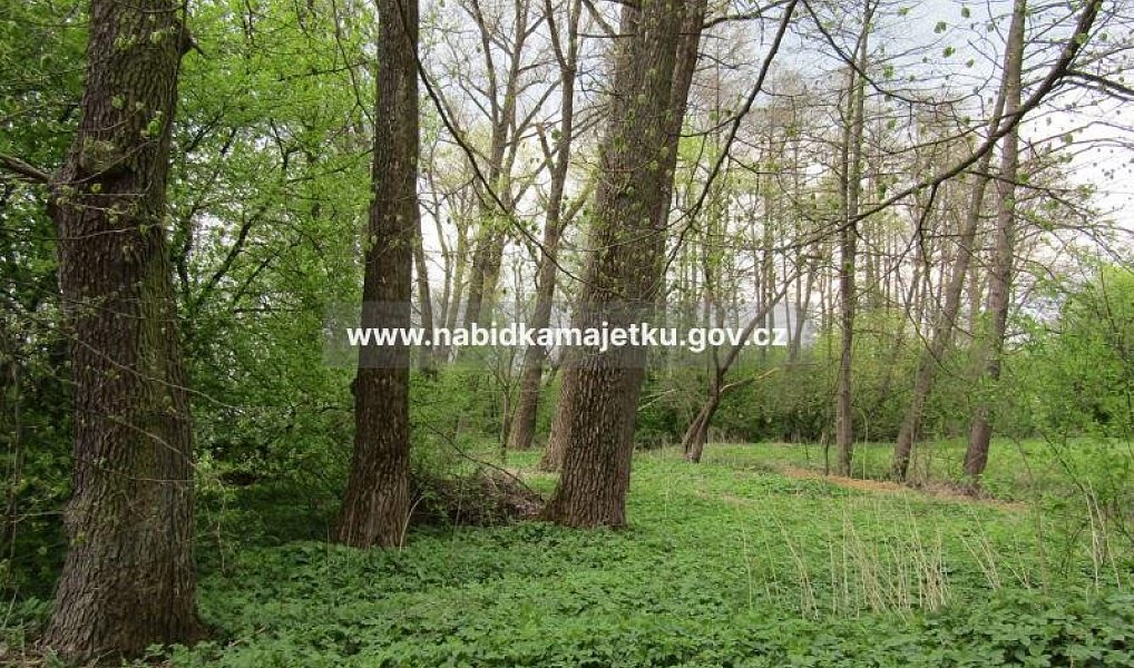 Prodej pozemku, 255 m², Ústí nad Orlicí, Letohrad