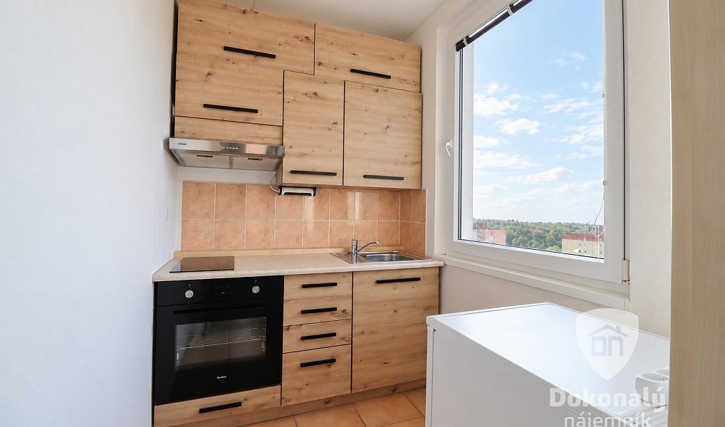 Pronájem bytu 1+1 30 m², Praha – náhled fotky 2