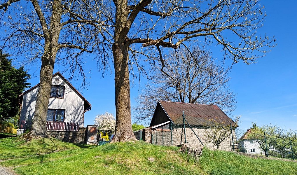 Prodej domu 130 m² s pozemkem 2 708 m², Míčov-Sušice – náhled fotky 4