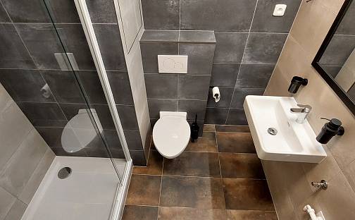 Pronájem bytu 1+1 41 m², Černého, Praha 8 - Střížkov