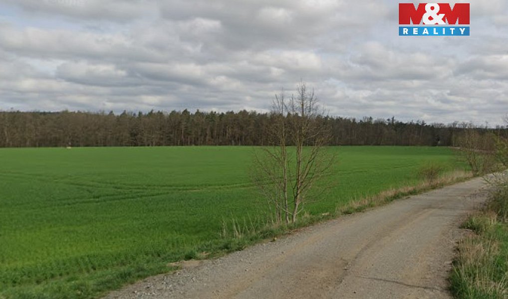 Prodej lesa 3 590 m², Plzeň – náhled fotky 5
